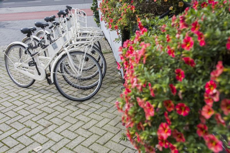Hotel Stadsvilla Mozaic 4*